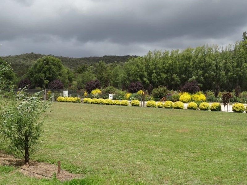 381 Townsend Road, Stanthorpe QLD 4380