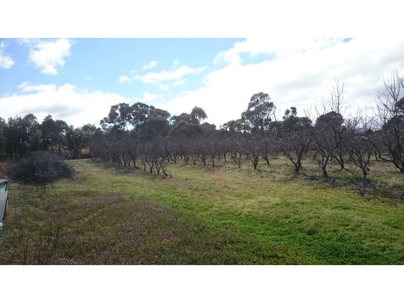 Lot 1, 0 Wallangarra Road, Stanthorpe QLD 4380