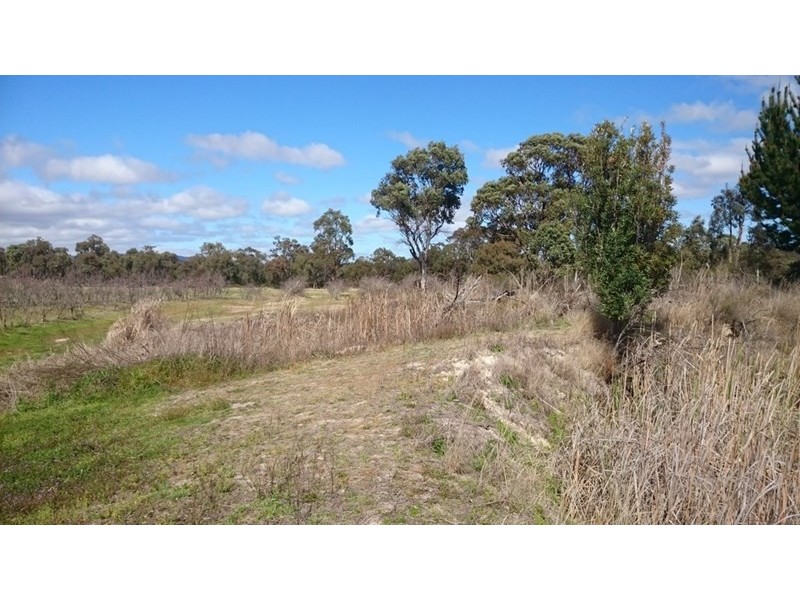 Lot 1, 0 Wallangarra Road, Stanthorpe QLD 4380