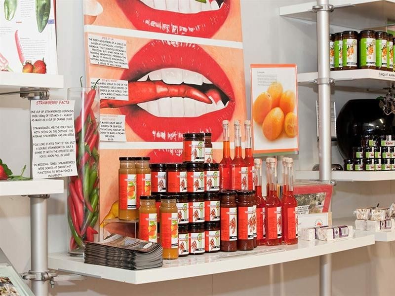 381 Townsend Road, Stanthorpe QLD 4380