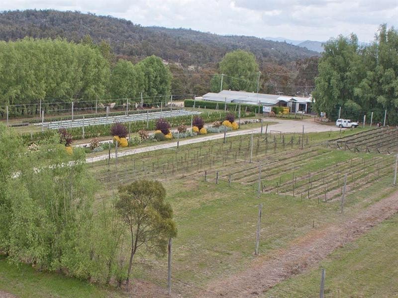 381 Townsend Road, Stanthorpe QLD 4380