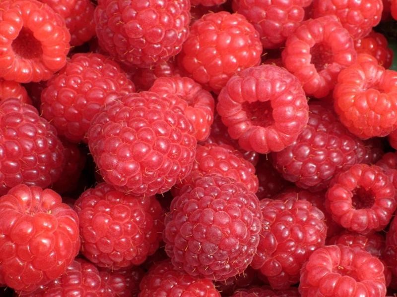 381 Townsend Road, Stanthorpe QLD 4380