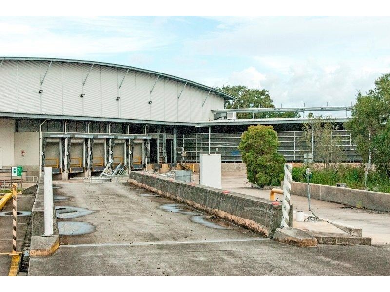 111 Jacaranda Street, North Booval QLD 4304