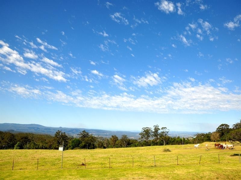 41 Martini Street, Mount Lofty QLD 4350