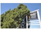 420 Rosenbergers Road, Wyreema QLD 4352
