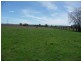 420 Rosenbergers Road, Wyreema QLD 4352