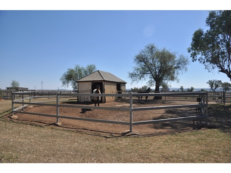 420 Rosenbergers Road, Wyreema QLD 4352