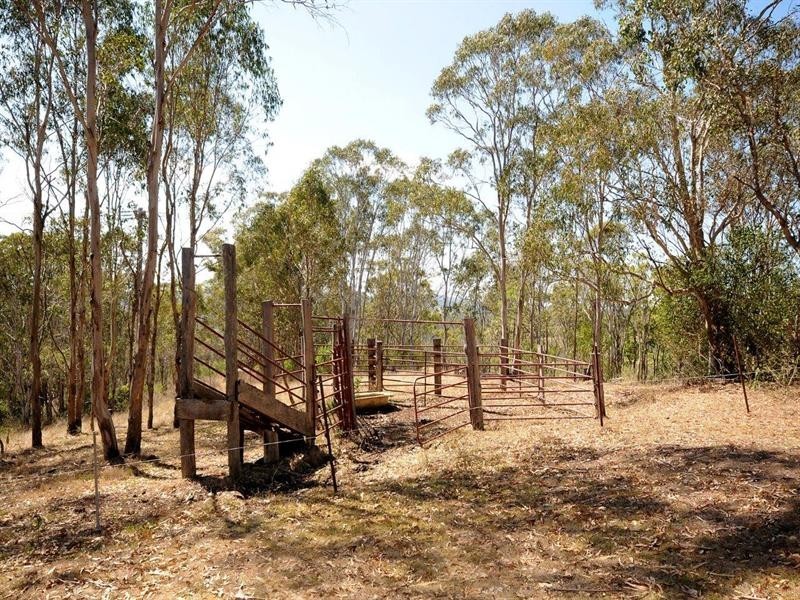 4477 Hampton Esk Road, Hampton QLD 4352