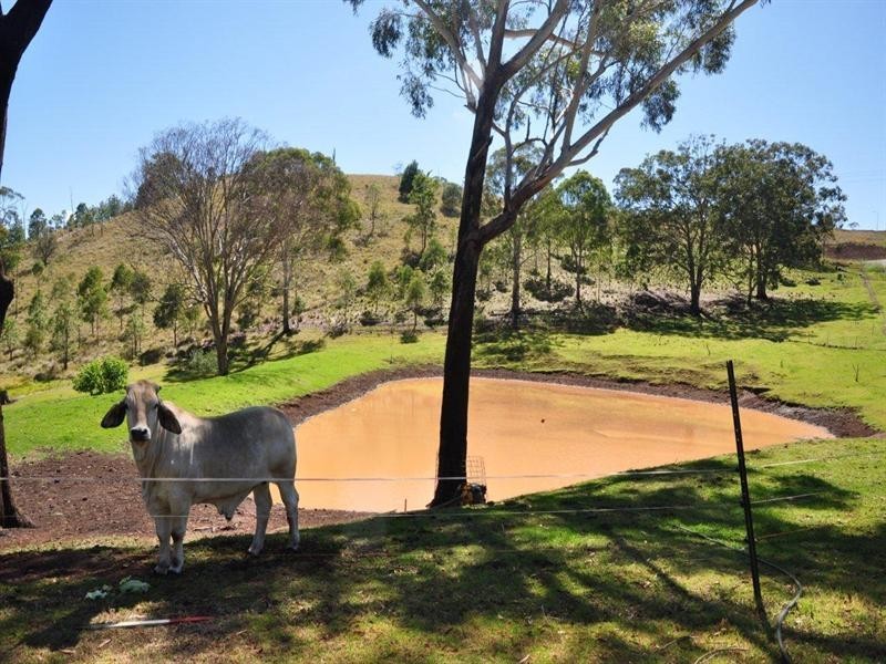 60 Forest Drive, Hampton QLD 4352