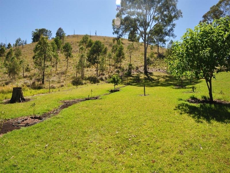 60 Forest Drive, Hampton QLD 4352