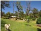 60 Forest Drive, Hampton QLD 4352