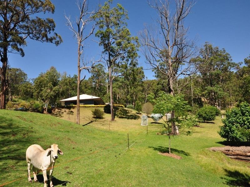 60 Forest Drive, Hampton QLD 4352