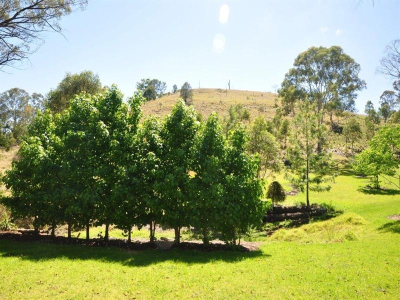 60 Forest Drive, Hampton QLD 4352