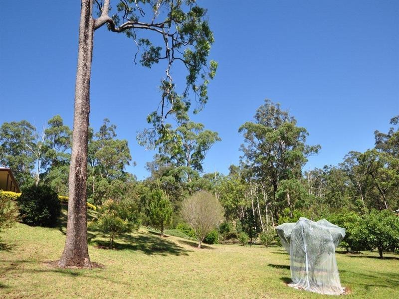 60 Forest Drive, Hampton QLD 4352