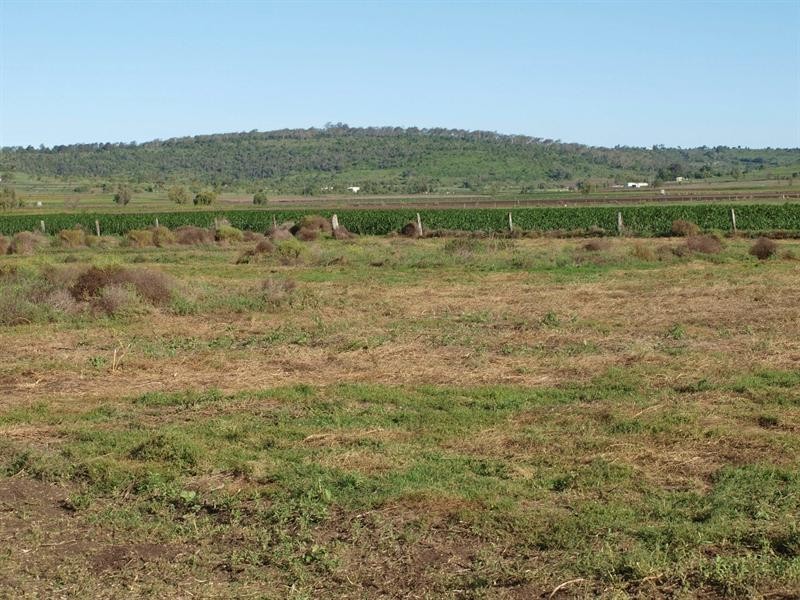 Lot 127 Glencoe-Yalangur Road, Lilyvale QLD 4352