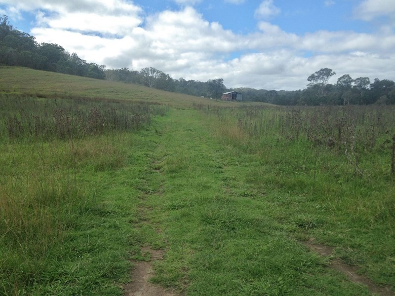 1508 Pierce Creek Road, Pierces Creek QLD 4355