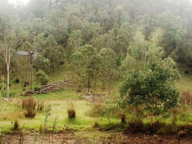 1508 Pierce Creek Road, Pierces Creek QLD 4355