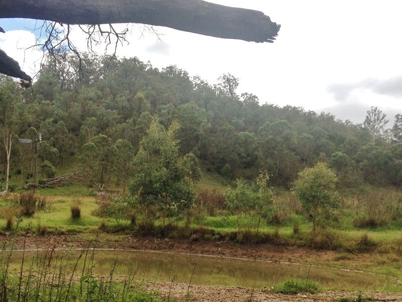 1508 Pierce Creek Road, Pierces Creek QLD 4355