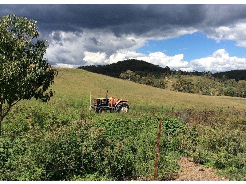 1508 Pierce Creek Road, Pierces Creek QLD 4355