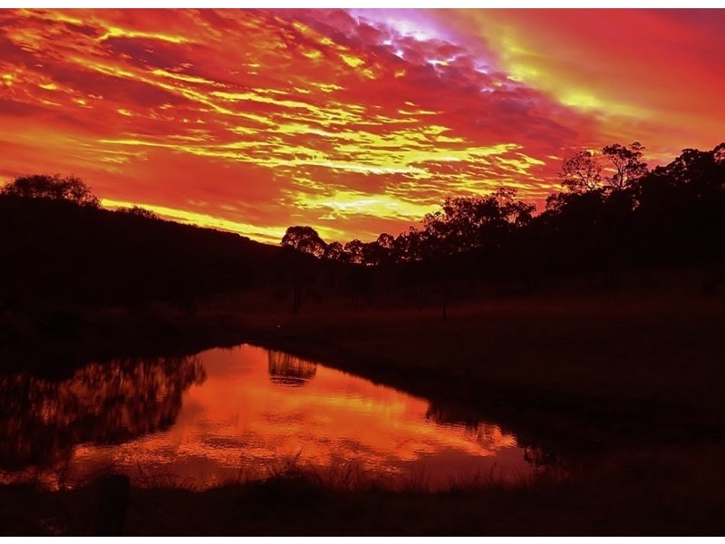 1508 Pierce Creek Road, Pierces Creek QLD 4355