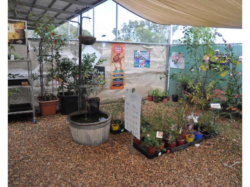 11 Kingsthorpe Haden Road, Kingsthorpe QLD 4400