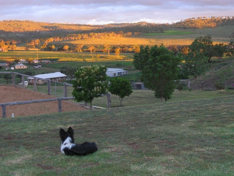 8A Junction Drive, Gowrie Junction QLD 4352