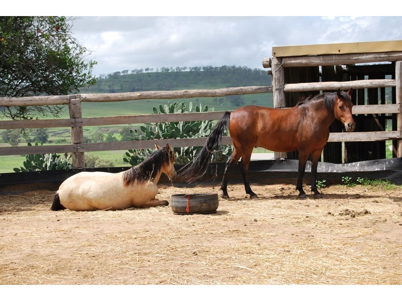 8A Junction Drive, Gowrie Junction QLD 4352