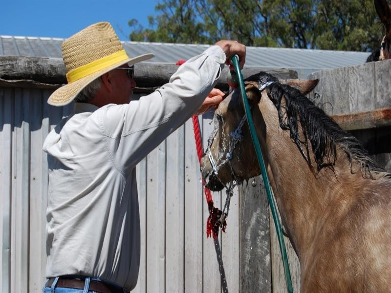 8A Junction Drive, Gowrie Junction QLD 4352