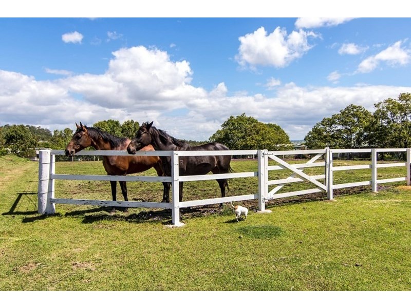 7 Birdland Drive, Glenvale QLD 4350