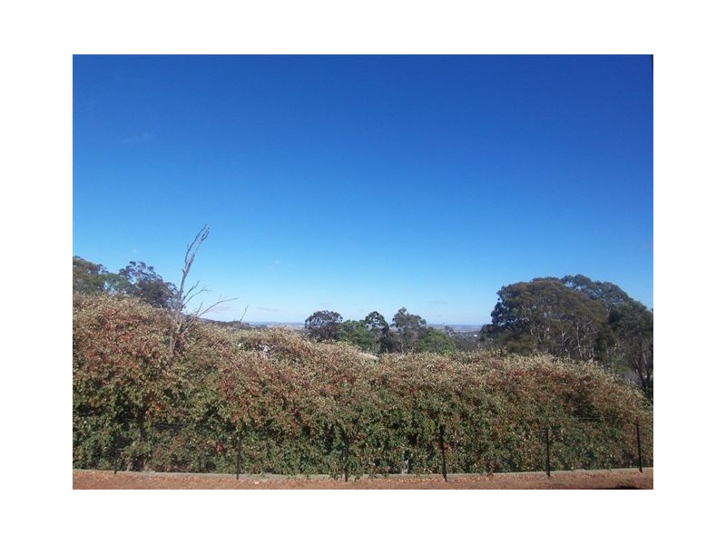 16 Samuel Street, Darling Heights QLD 4350