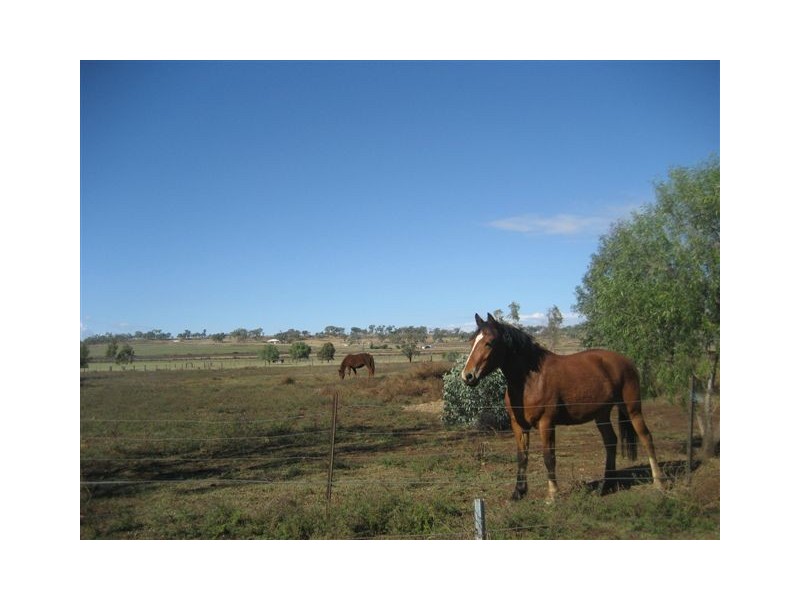 111 Cudmore Road, Cambooya QLD 4358