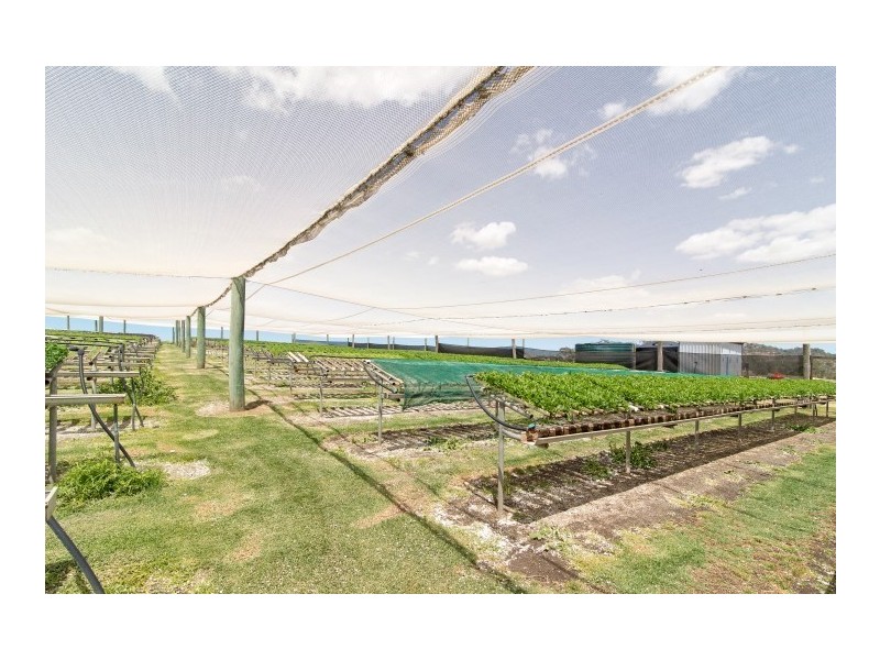 508 South Street, Glenvale QLD 4350