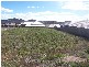 21 Cuttaburra Crescent, Glenvale QLD 4350