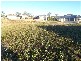 21 Cuttaburra Crescent, Glenvale QLD 4350