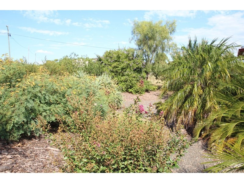 14 North Street, Kingsthorpe QLD 4400