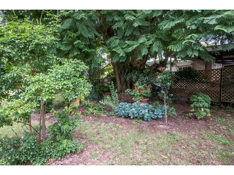 10 Gladstone Street, Newtown QLD 4350