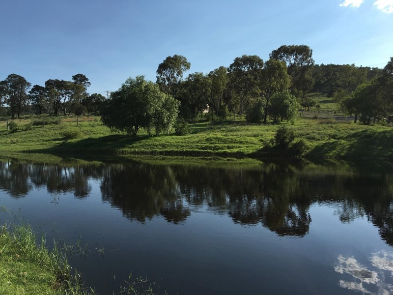 24 Cooks Road, Glencoe QLD 4352