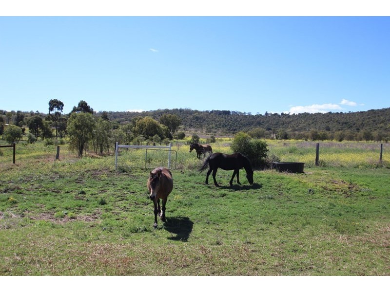 24 Cooks Road, Glencoe QLD 4352