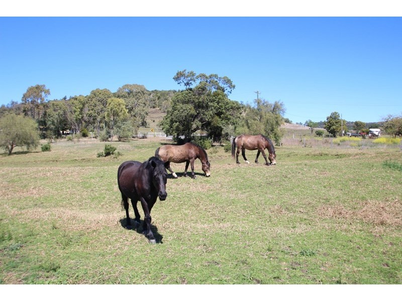 24 Cooks Road, Glencoe QLD 4352