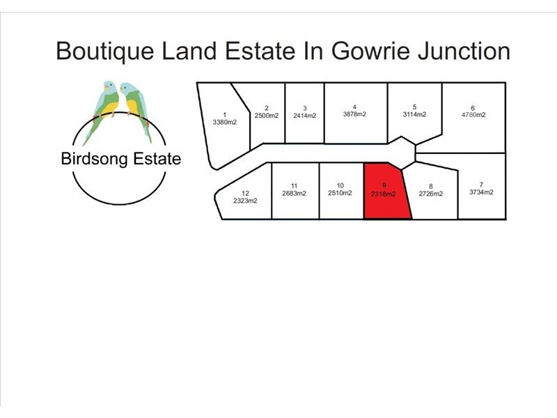Lot 9 Birdsong Estate, Gowrie Junction QLD 4352
