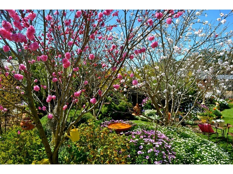 14 Manooka Crescent, Highfields QLD 4352