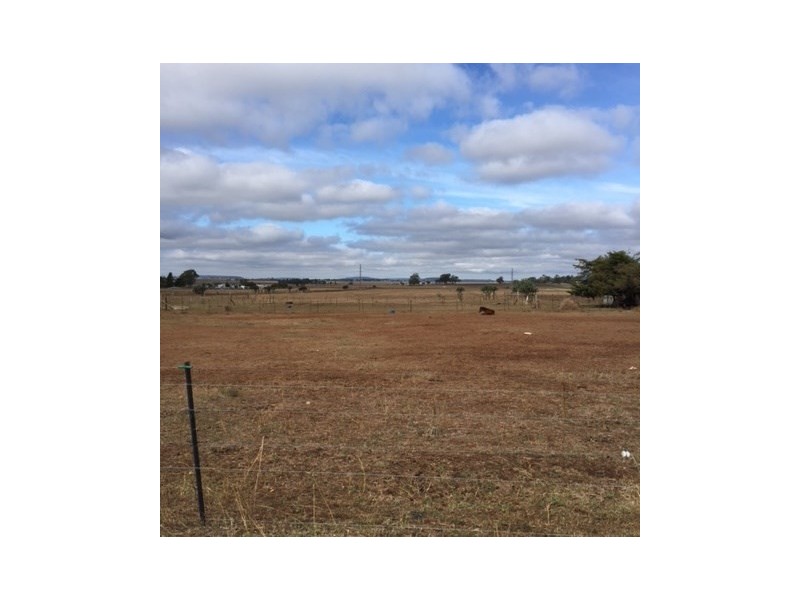 99 Bunkers School Road, Westbrook QLD 4350