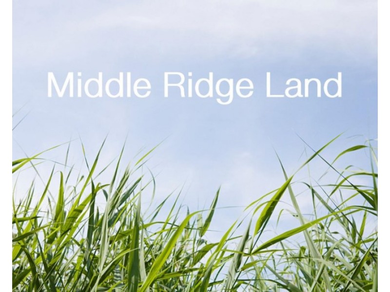 Lot 102 Mackenzie Street, Middle Ridge QLD 4350