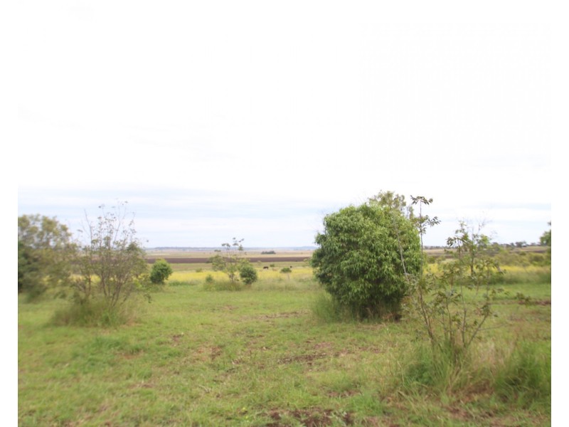 29 Goombungee Road, Kingsthorpe QLD 4400