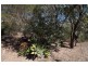 13 Rowland Court, Gowrie Mountain QLD 4350