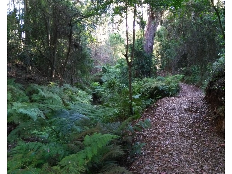 3 Leanne Court, Highfields QLD 4352