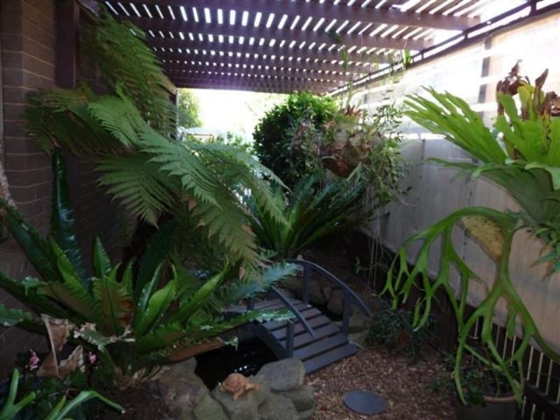 40 Brangus Street, Harristown QLD 4350