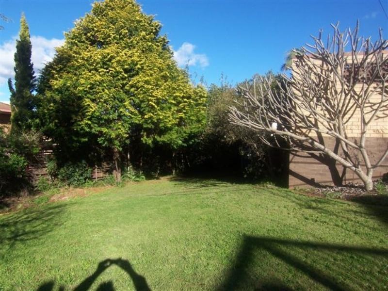 16 Blue Hills Drive, Rangeville QLD 4350