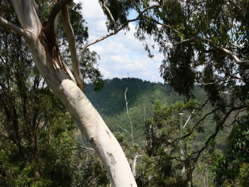 32 Katoomba Crescent, Prince Henry Heights QLD 4350