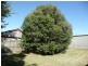 2 Sheehan Street, South Toowoomba QLD 4350